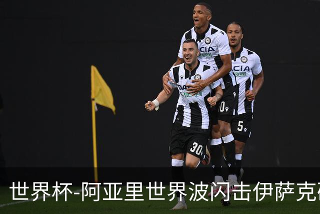 世界杯-阿亚里世界波闪击伊萨克破门 半场瑞典2-1突尼斯